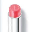 핑크로즈553 이미지