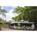 우림카서비스 | 꿈결 같은 하루! 호주 케언즈 쿠란다 열대우림 여행으로 힐링 만끽!