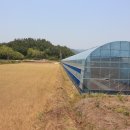 부산면사무소 이미지