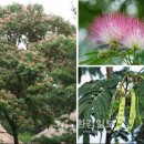 아이지에스(주) 이미지