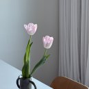 만성로2 이미지