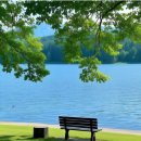 은 세상 이미지