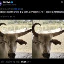 뿔 Daum카페