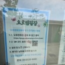 오호야 | [고성 캠핑] 초보캠퍼 아빠의 좌충우돌 2박3일 도전기 🏕️ 오호캠핑장 솔직 후기