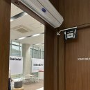 하림펫푸드 해피댄스 스튜디오 방문 후기