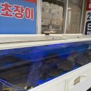 인생향어맛집