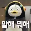 SG FITNESS 이미지