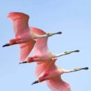 광주무등교회 이미지