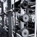 팀비식스 이미지