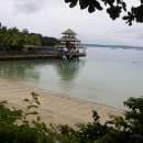 필리핀 민다나오섬의 다바오 여행ㅡ펄팜리조트 이미지