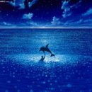 그랑블루 이미지