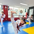 동아대동일태권도 이미지