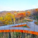 용마산 자락길 코스 | [여행] 도심 속 160m 하늘길, 용마산 스카이워크! 북한산 뷰 명당 솔직 후기