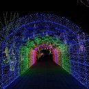 별빛랜드 이미지