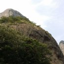 마산할매아구 이미지