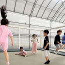 충효 태권도장 이미지