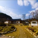 들꽃카페 이미지