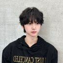 프링헤어 이미지