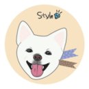 스타일 멍멍 이미지