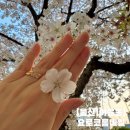 수암로190번길 | [울산] 야음동 네일 울산 내성발톱 요로코롬네일 솔직후기
