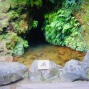 양평샘꼴농장 | 유럽의 하와이 아조레스 탐험기 – 상 미겔 섬 2편 Lagoa do Fogo, Frunas, 온천, 해변 그리고 섬 북쪽