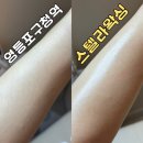 스텔라왁싱 | 영등포구청 왁싱은 알잘딱깔센 소프트왁싱이 가능한 스텔라왁싱