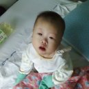 세모스쿠알렌 이미지