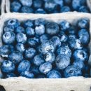 개안농장 이미지