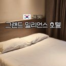서호중앙로 | 제주 가성비 숙소 2만 원대 그랜드 밀리언스 서귀포 호텔