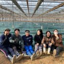 만기2농장 이미지