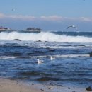 라임오렌지 이미지