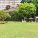 라비돌호텔 이미지