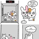 보경매운탕 이미지