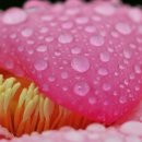 한국 카메라 박물관 이미지