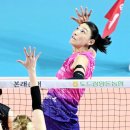 흥국생명 이미지