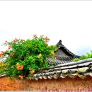 [2025. 6. 21. 토. 비.]-[유산소-휴식, 적산-0km, 22~24℃, 05:10~19:41] 이미지