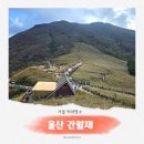 자연사슴농장 | 영남알프스 울산 간월재 억새군락지 최단코스 중 사슴농장 등산코스 후기