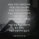 횟집벙개 이미지