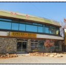 경상북도지정한우전문판매점 이미지