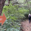 메추리 펜션 이미지