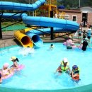 천동물놀이장 이미지