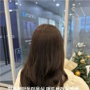따뜻한헤어 | 용암동미용실 고이헤어 염색리얼후기 따뜻한 매트브라운으로 인생컬러 찾음.