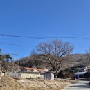 도원2리(마장) 이미지