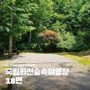 국립화천야영장 캠핑센터 | 국립 화천숲속야영장 18번 파쇄석 사이트 캠핑 후기