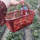 서안농장 이미지