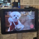 대학로 85(경대북문) | 경북대 국밥 맛집 '다원국밥' 산격동 경대북문 병천순대국밥 설렁탕 맛집