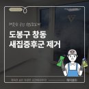 프라우드 클린 이미지