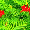 담비농장 이미지