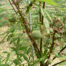 문관농장 이미지