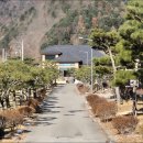 월송농장 네이버블로그